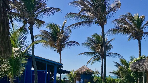 Une piscine d’un bleu éclatant, bordée d’une terrasse en bois, entourée de palmiers et d’un bâtiment bleu au toit de chaume.