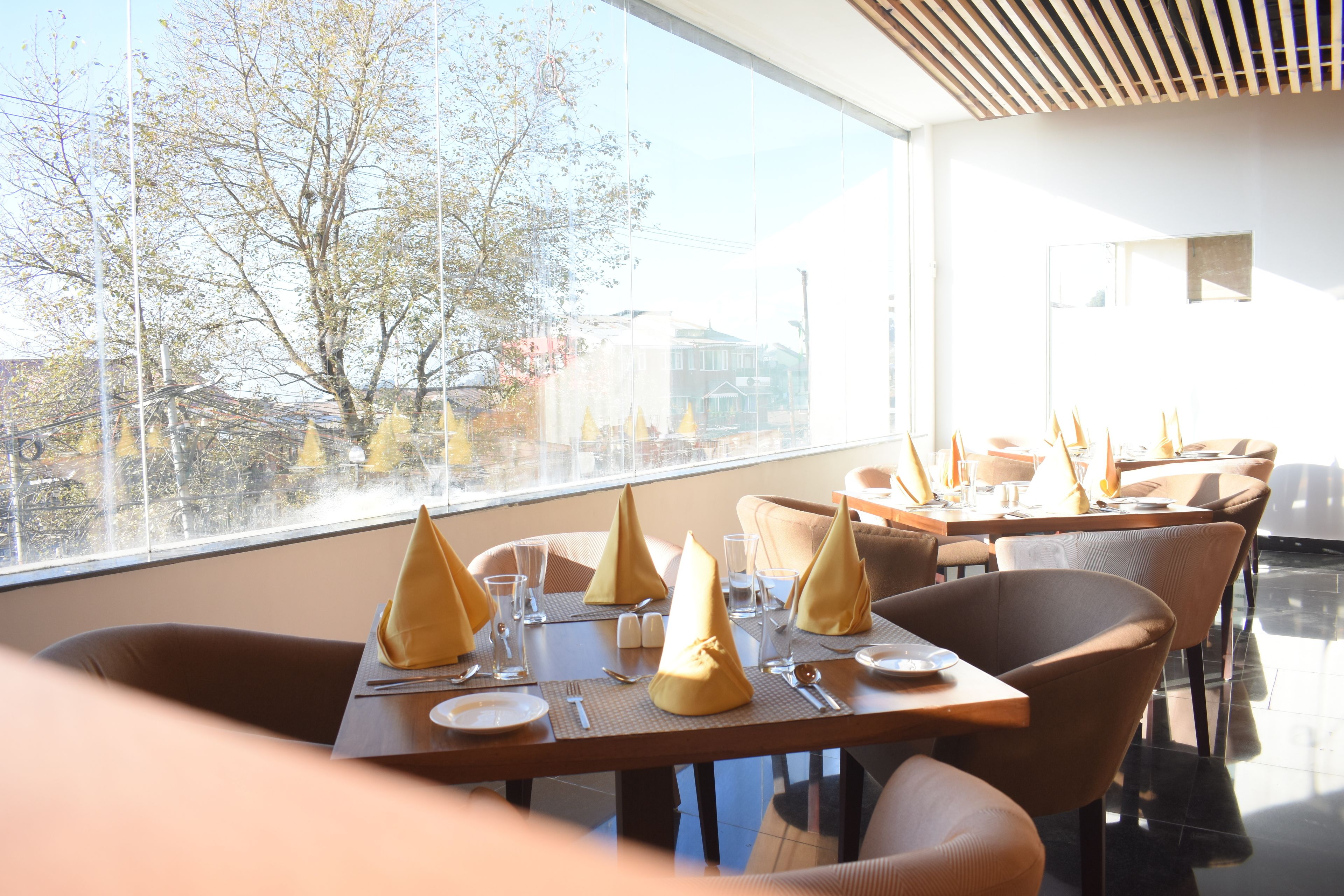 breakfast, lunch, dinner served; vegetarian cuisine