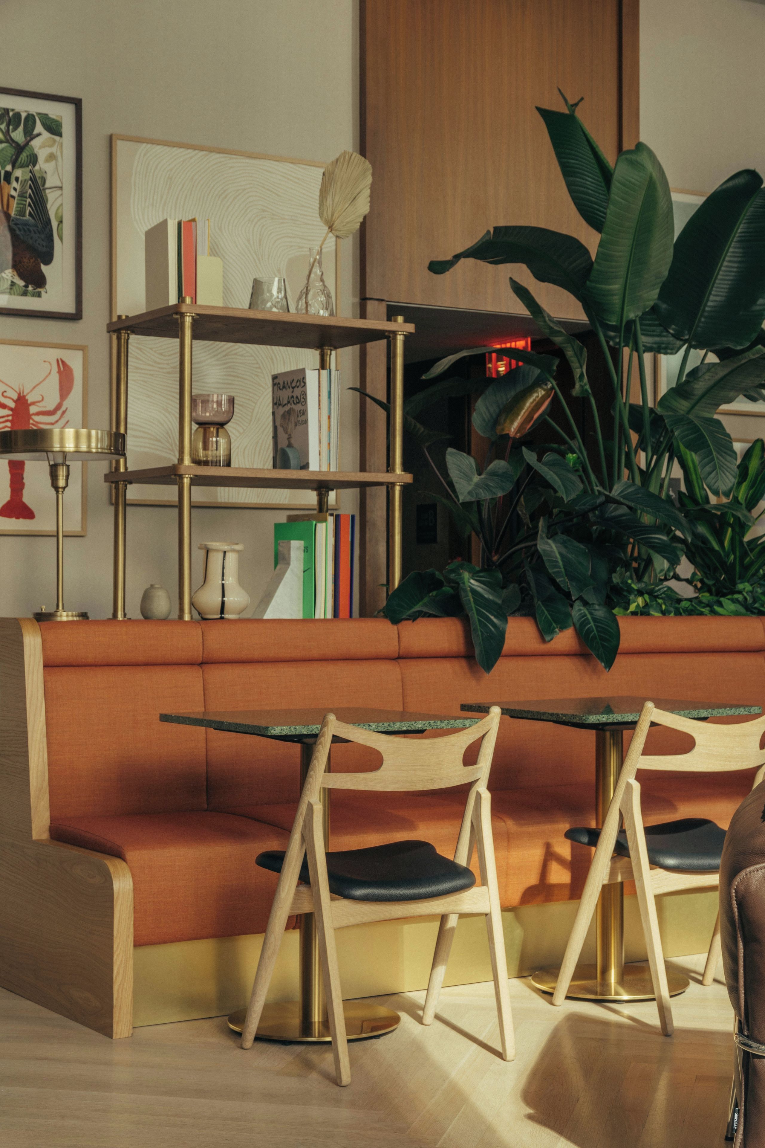 A modern living room with a sofa, chairs, a coffee table, a bookshelf, and a large plant.