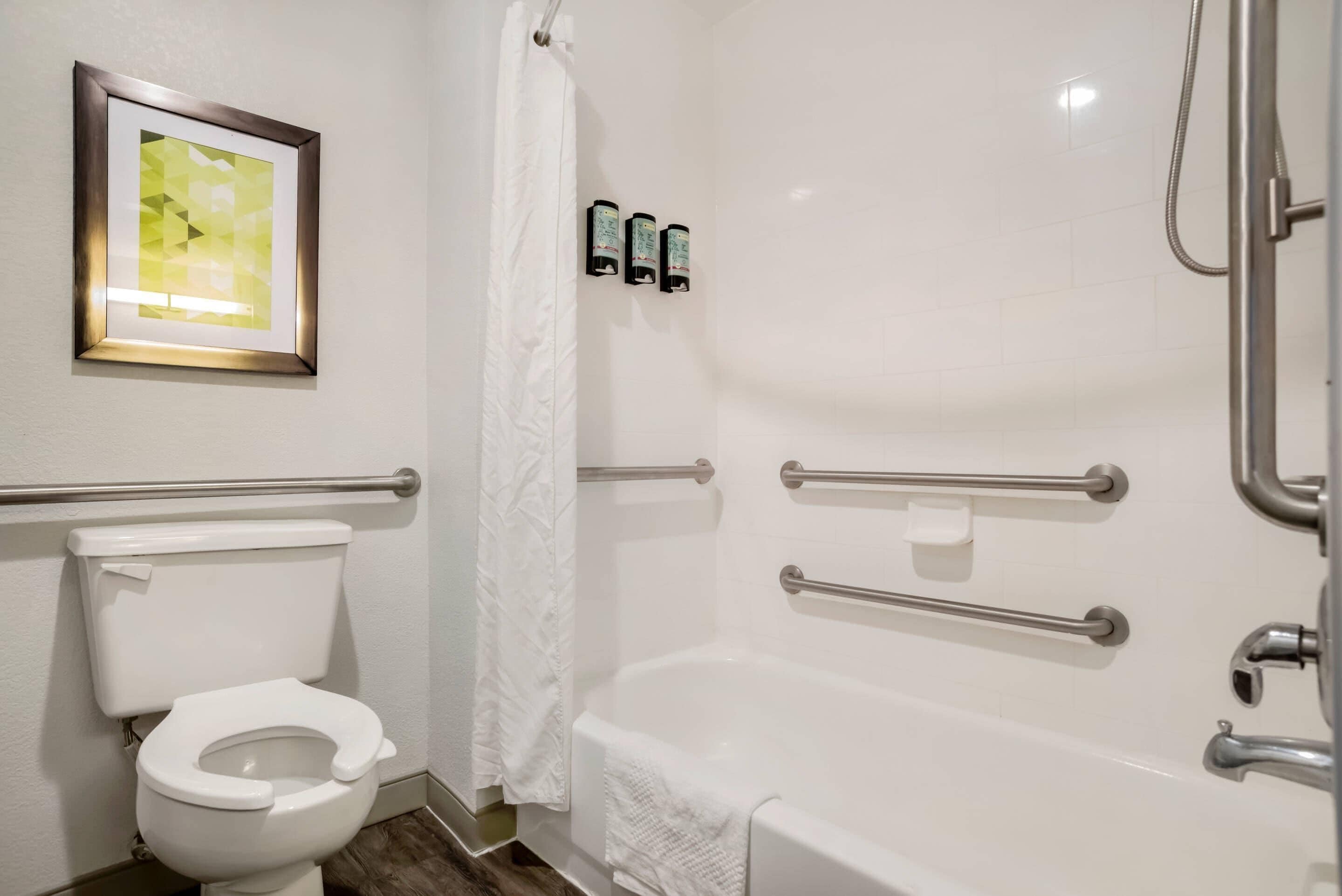 A bathroom with a toilet, a shower with grab bars, and a framed picture on the wall.
