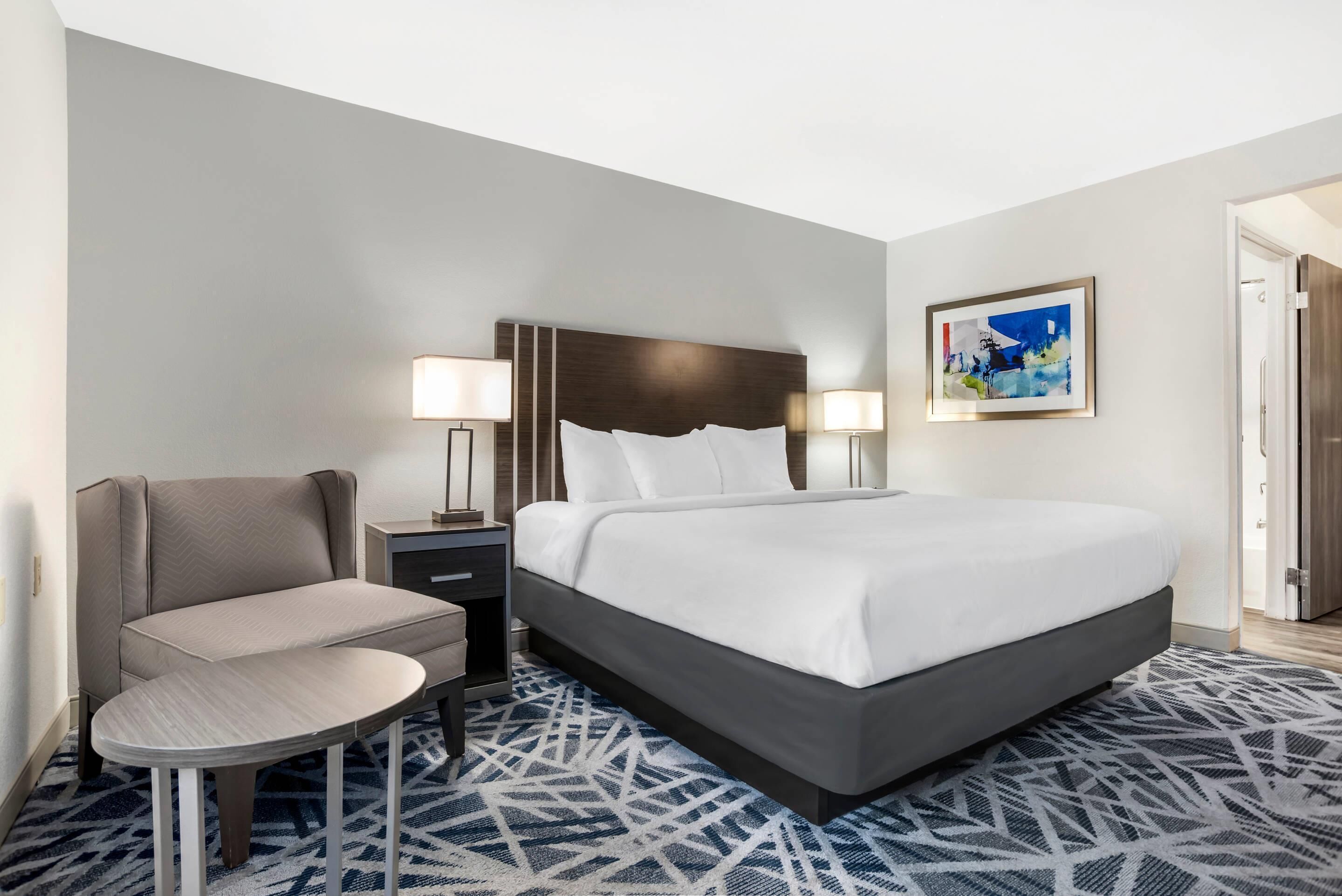Standard Room, 1 King Bed, Non Smoking | Desk, laptop workspace, blackout drapes, iron/ironing board