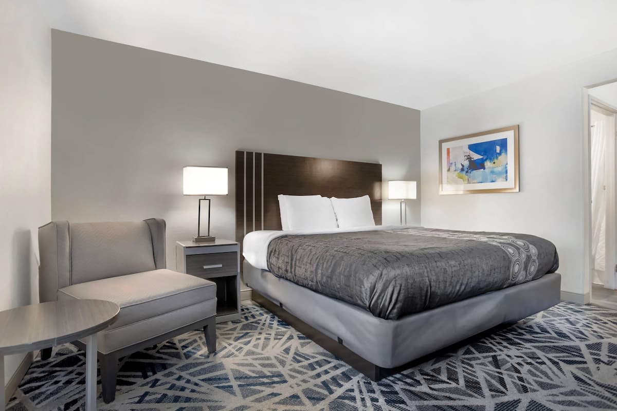 Rom – standard, 1 kingsize-seng, ikke-røyk | Skrivebord, skrivebord for bærbar PC og blendingsgardiner