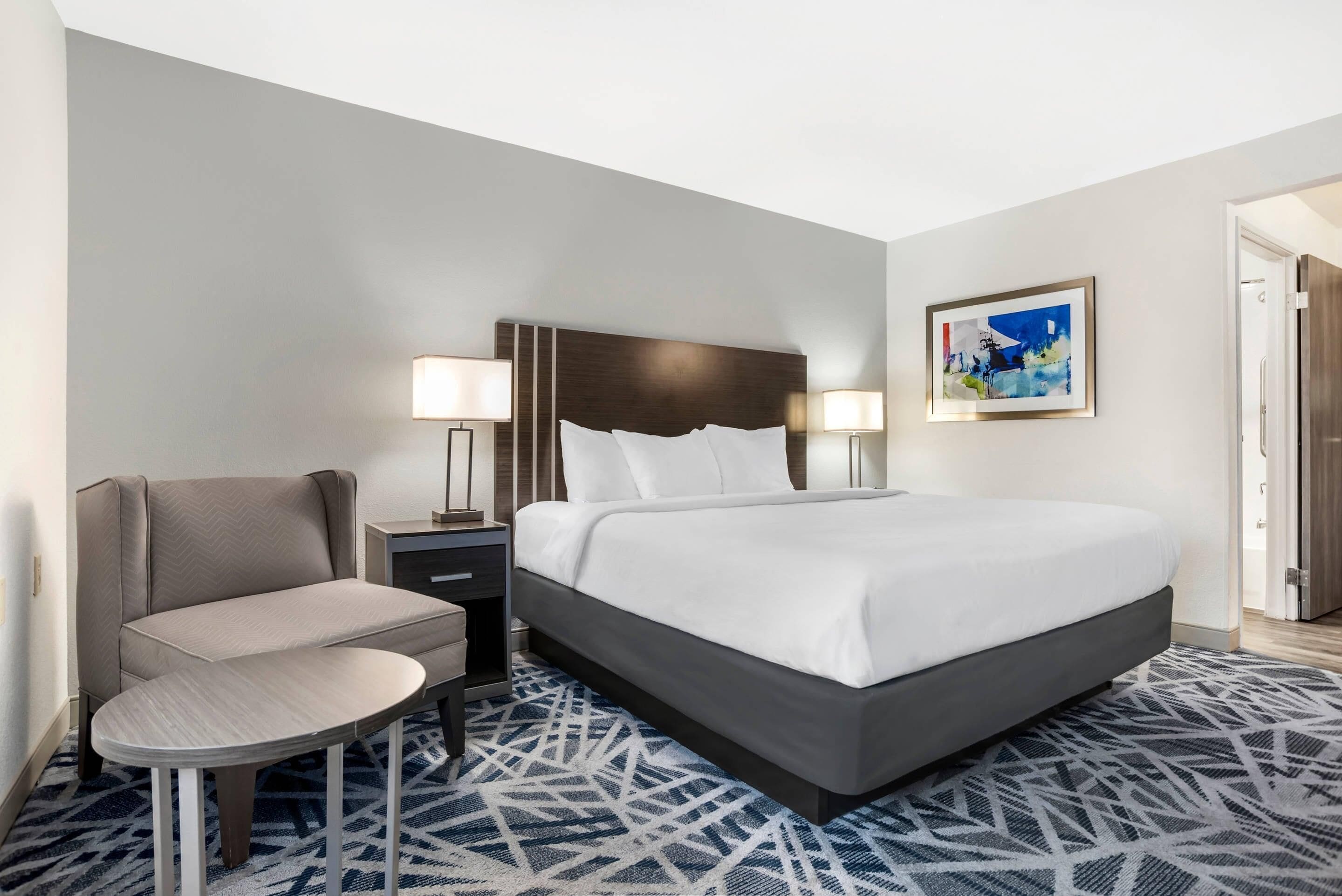 Standard Room, 1 King Bed, Non Smoking | Desk, laptop workspace, blackout drapes, iron/ironing board
