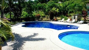 A swimming pool with a curved edge, surrounded by a concrete deck and palm trees.