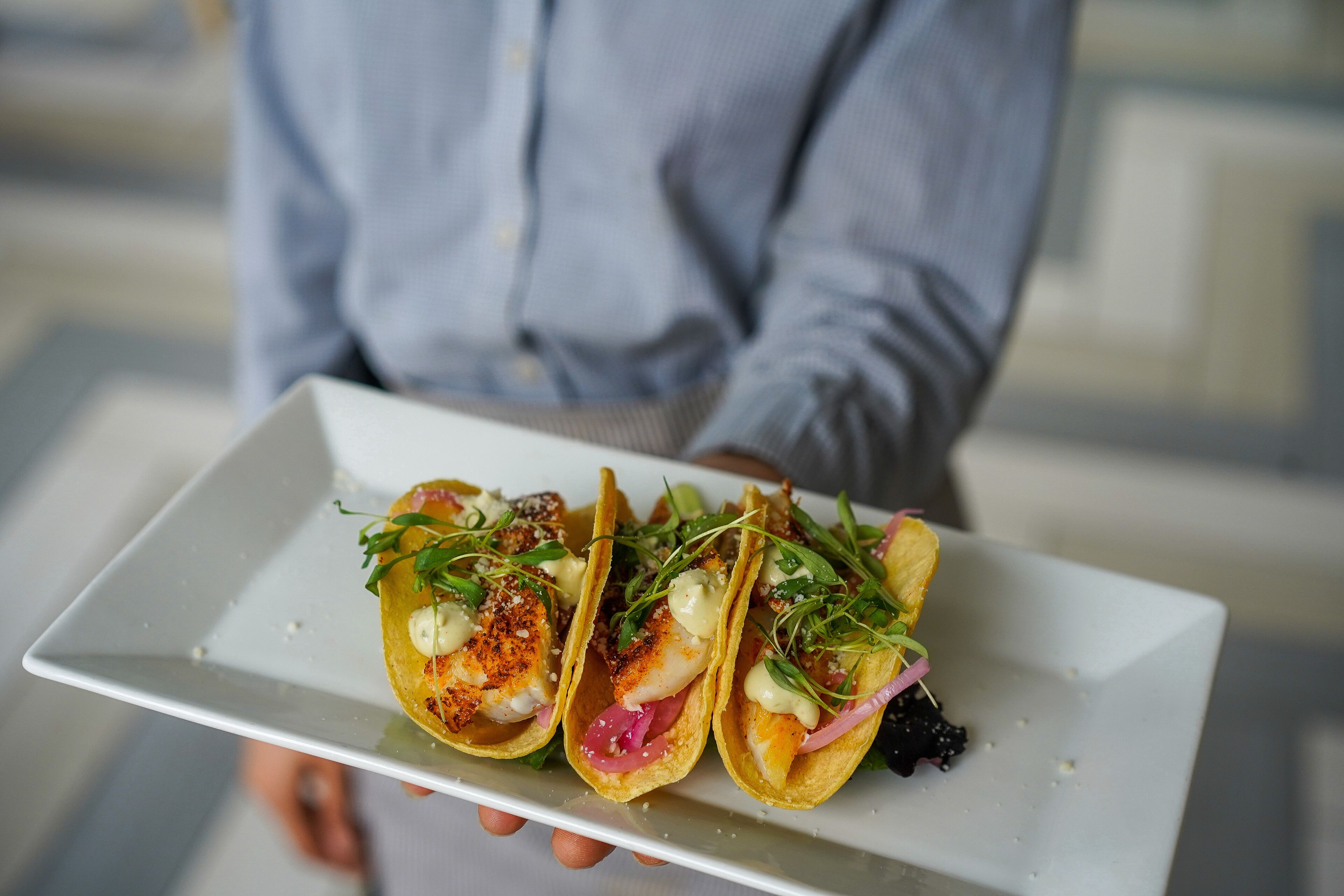 A person holding a white rectangular plate with three tacos, garnished with greens and a slice of orange.