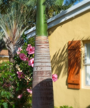 A house with a textured column, a window with a wooden shutter, and pink flowers. - Atlantic Hideaway (Delray Beach)