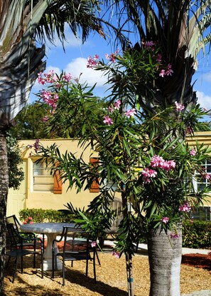 Exterior - Atlantic Hideaway (Delray Beach)