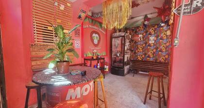 Red Monkey Hostel: Barra Funda