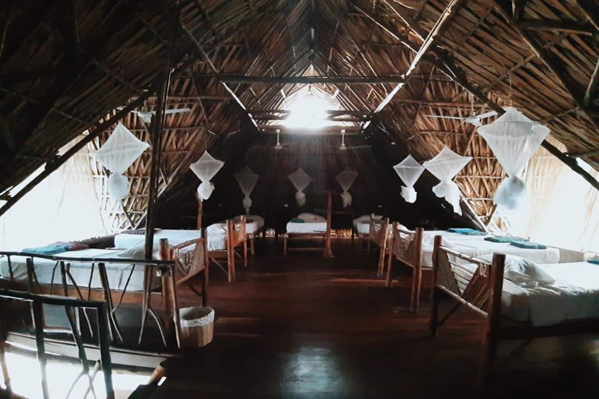 Loft (E - Group Loft)