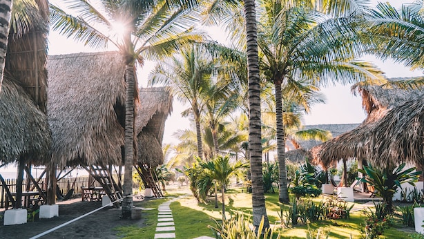 Garden - Paredon Surf House (Sipacate)