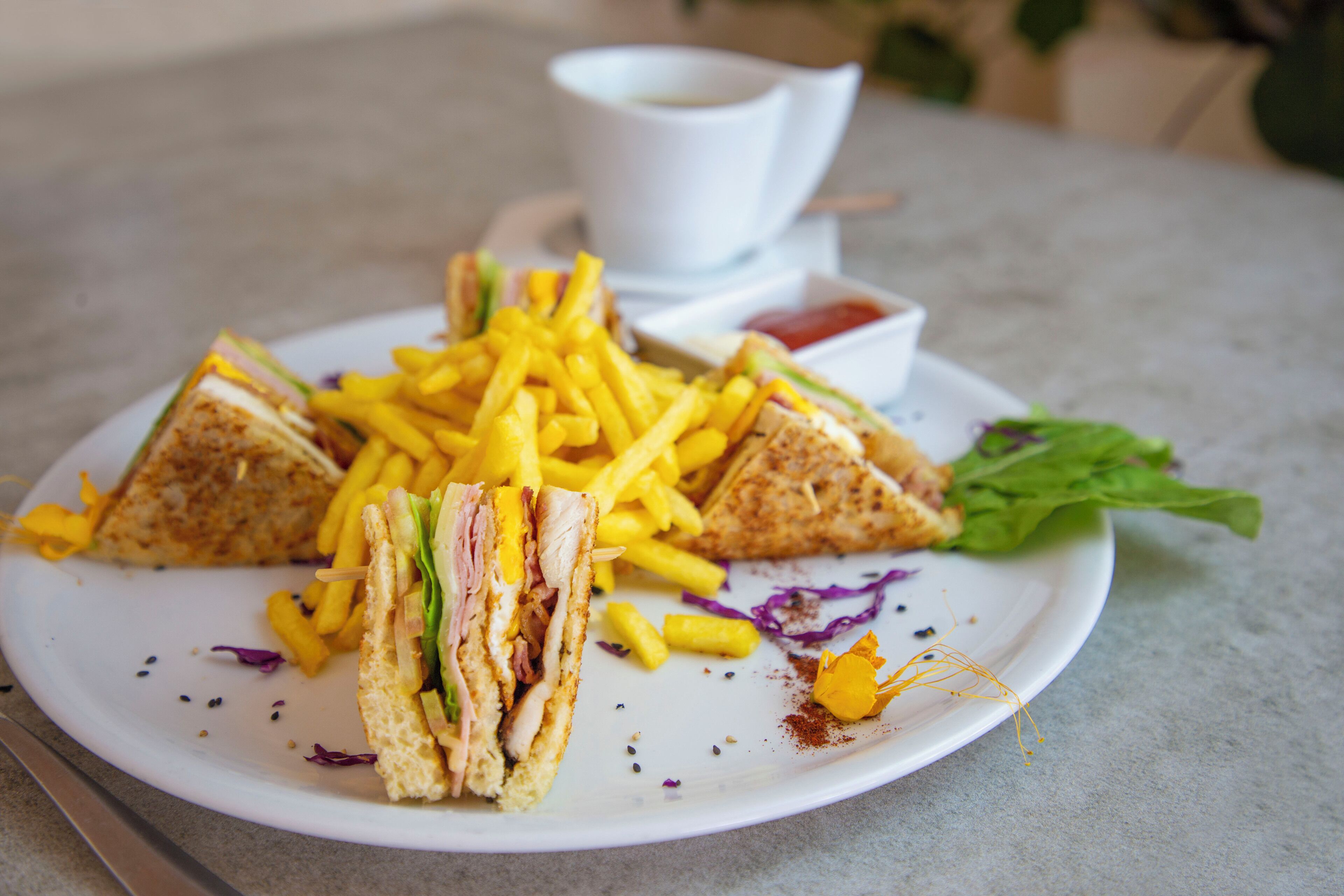 Un plato con un sándwich, papas fritas y una taza de salsa.