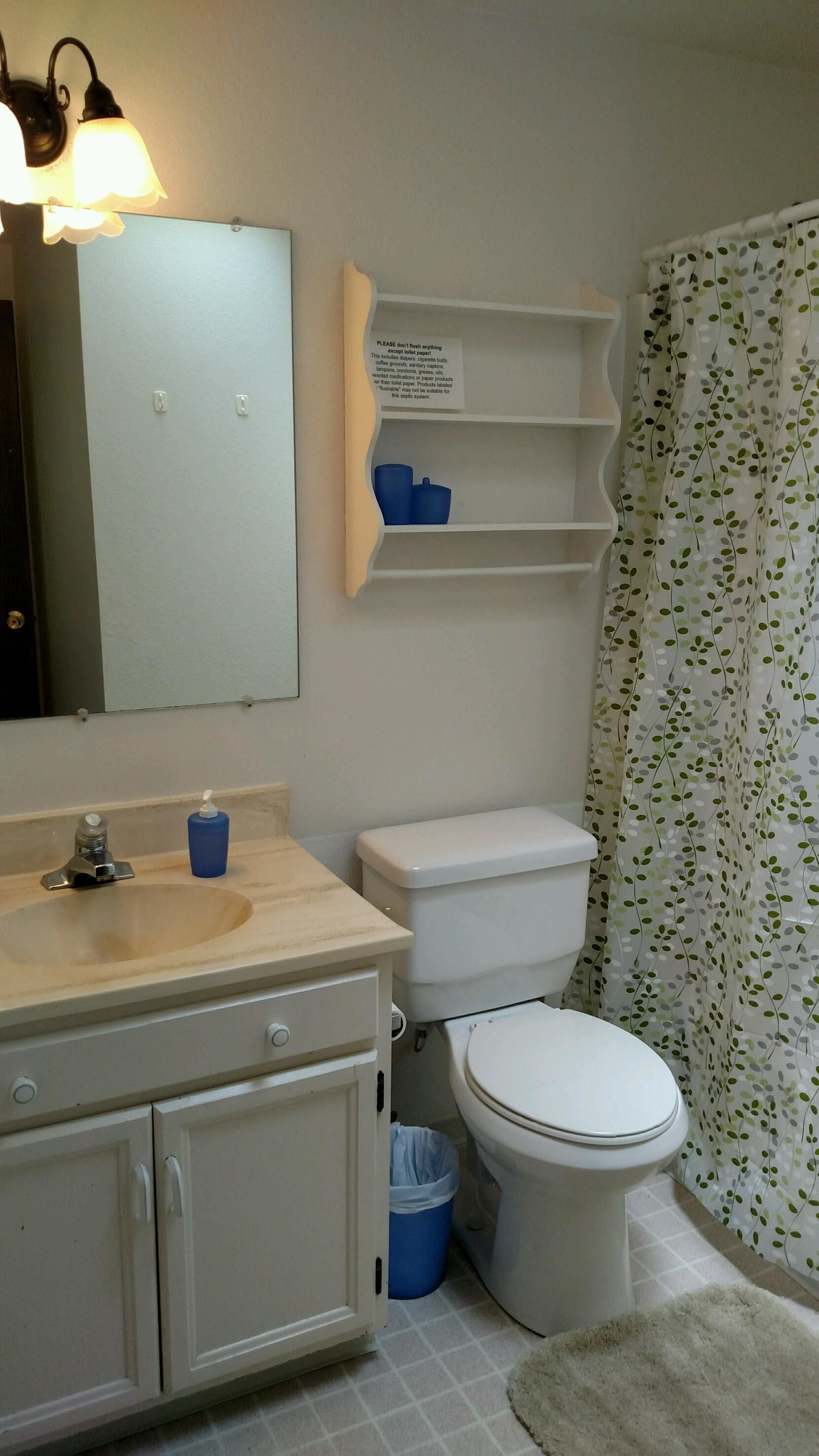 A bathroom with a sink, mirror, toilet, and shelves.