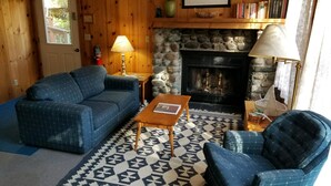 A cozy living room with a blue sofa, a patterned rug, a fireplace, and a bookshelf.