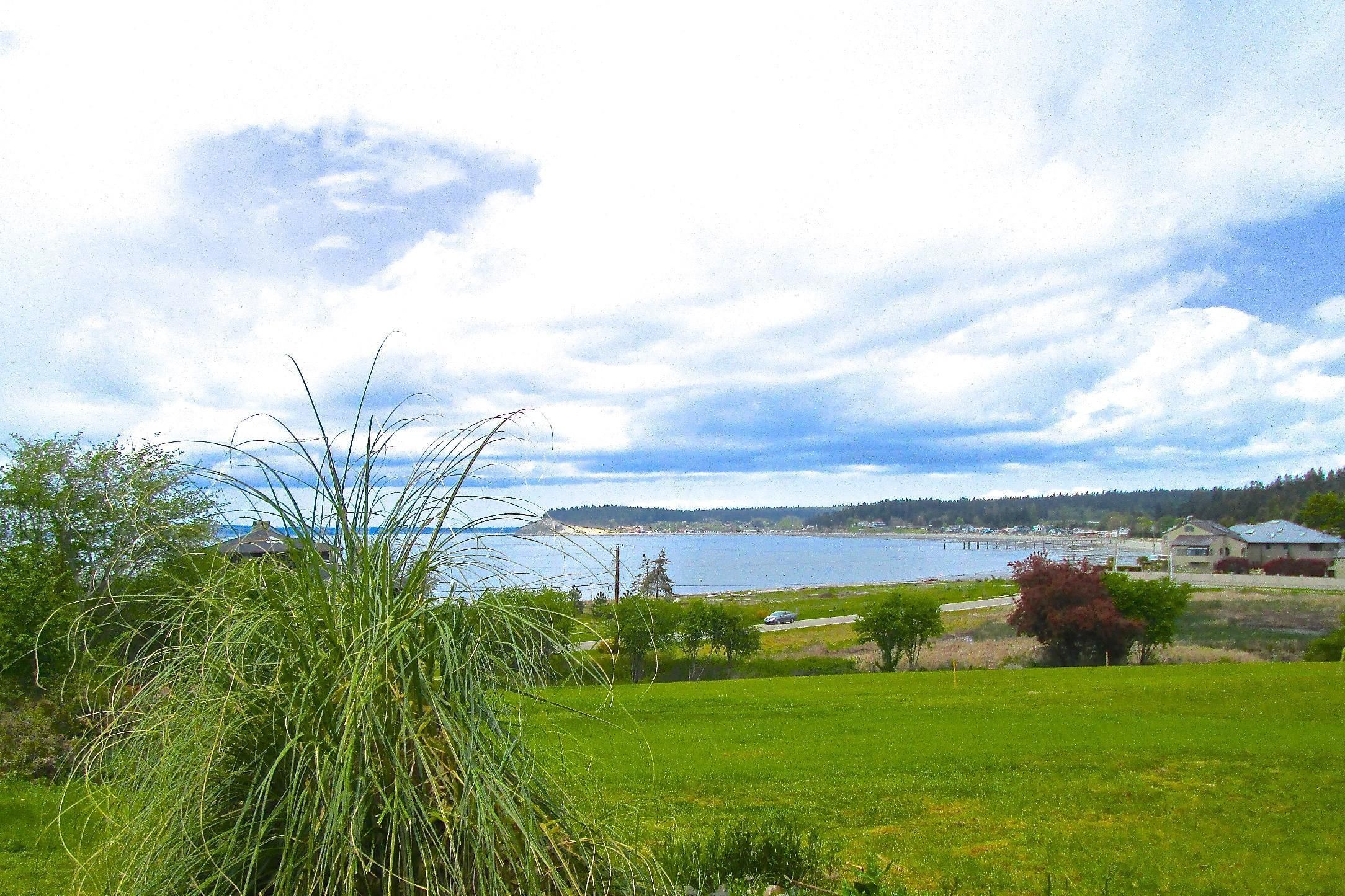 A coastal landscape with a grassy foreground, a body of water, and a distant shoreline with buildings.