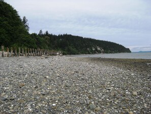 House, 1 Bedroom, Sea View | Beach - Sea Forever Cabin (Greenbank)