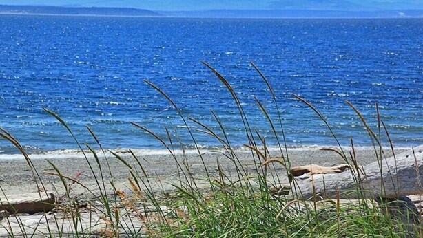 House, 3 Bedrooms, Sea View | Beach