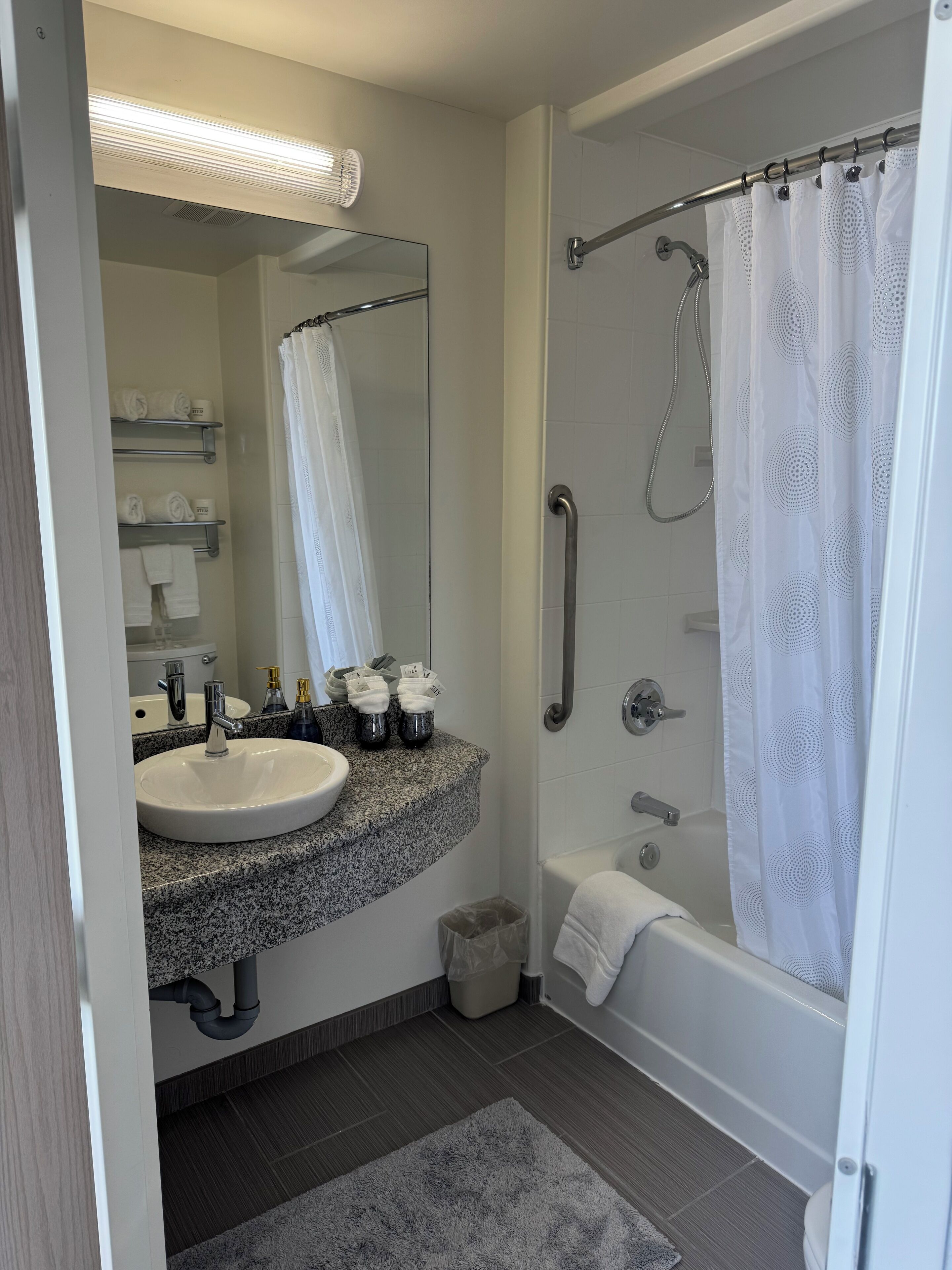 combined shower/bathtub, free toiletries, hair dryer, towels