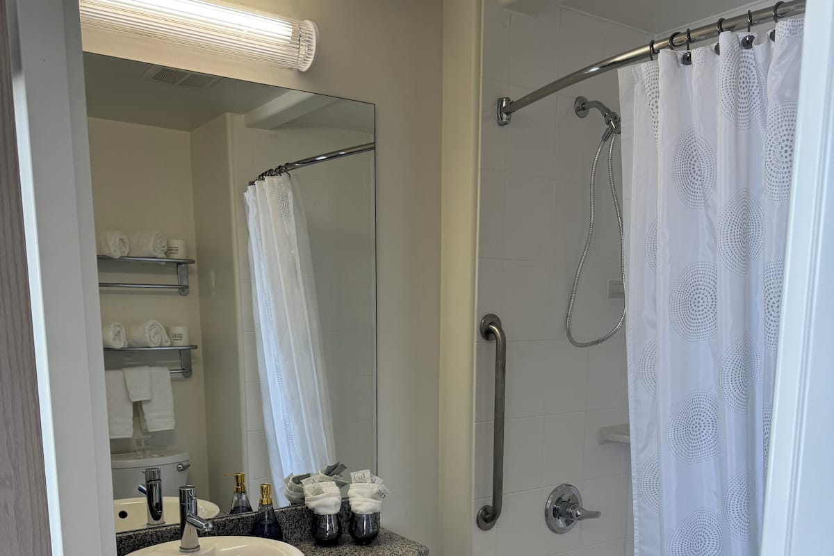Combined shower/bathtub, free toiletries, hair dryer, towels