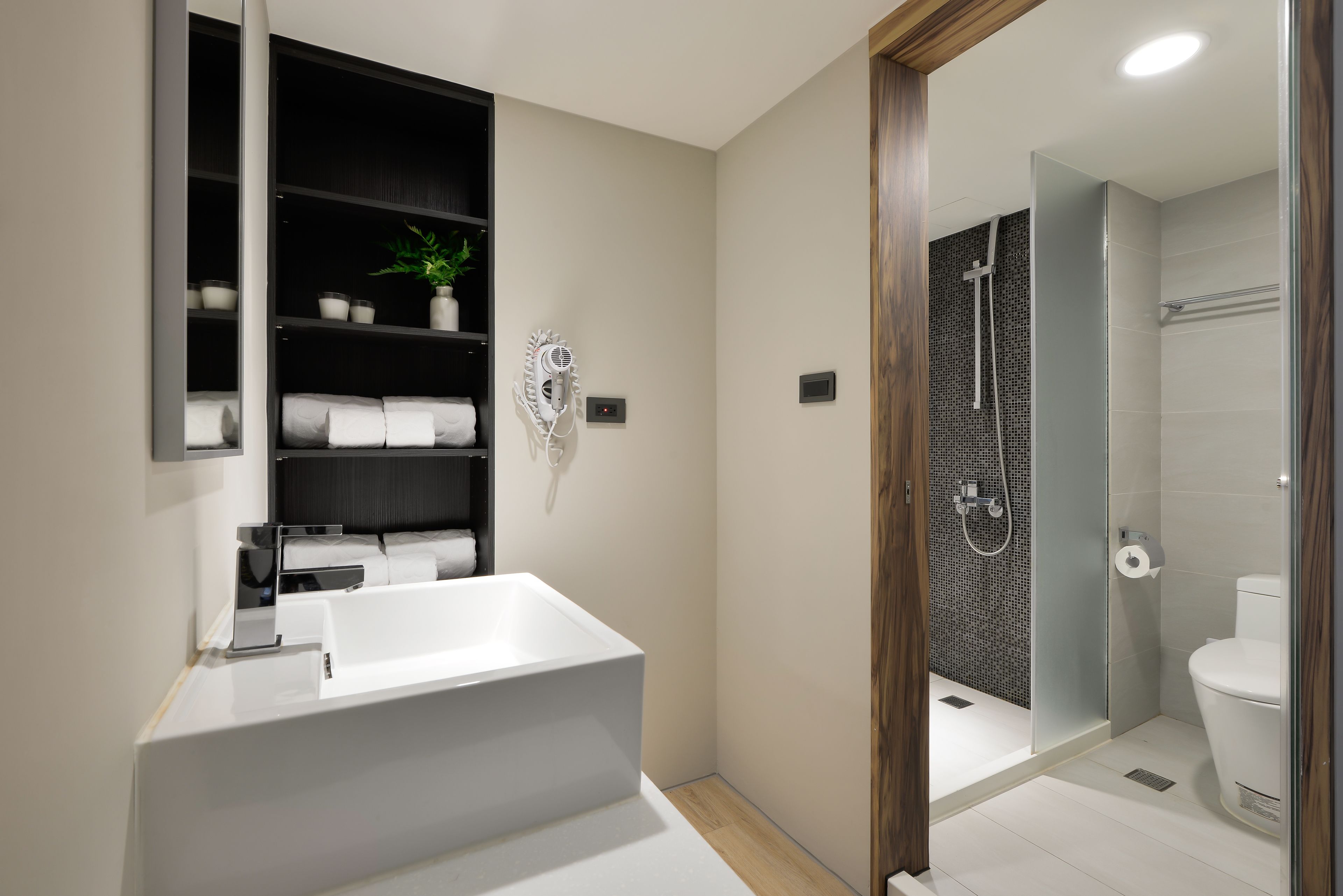 shower, free toiletries, hair dryer, slippers