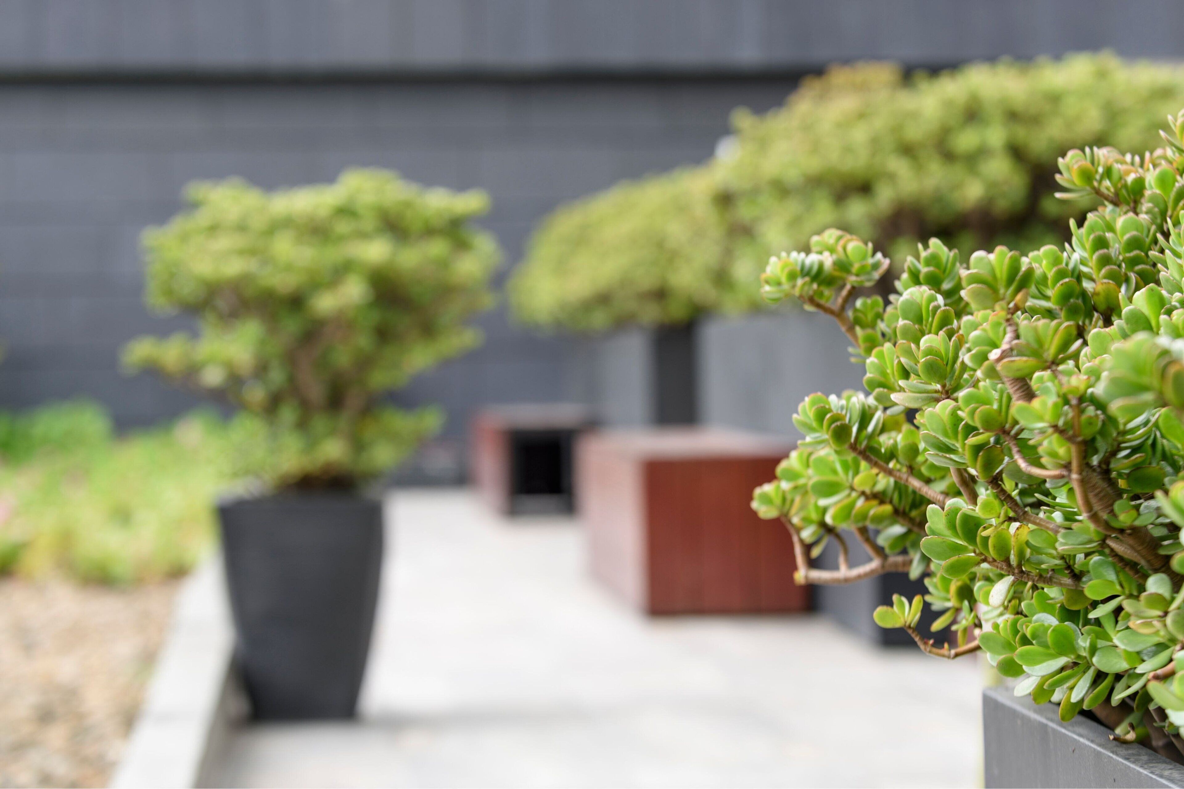 Tiện nghi, dịch vụ nơi lưu trú