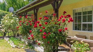 Terrace/patio - Cardrona Cottage (Cardrona)