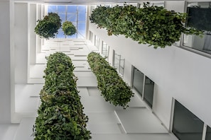 Vue depuis l’hébergement