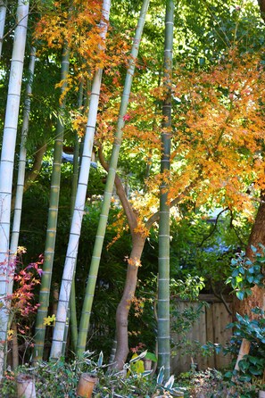 Garden - KITAYA Ryokan －Cultural Heritage Inn (Yokohama)