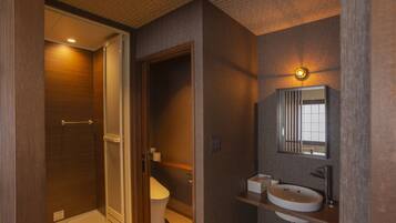 A modern bathroom with a walk-in shower, toilet, and a vanity with a sink and mirror.