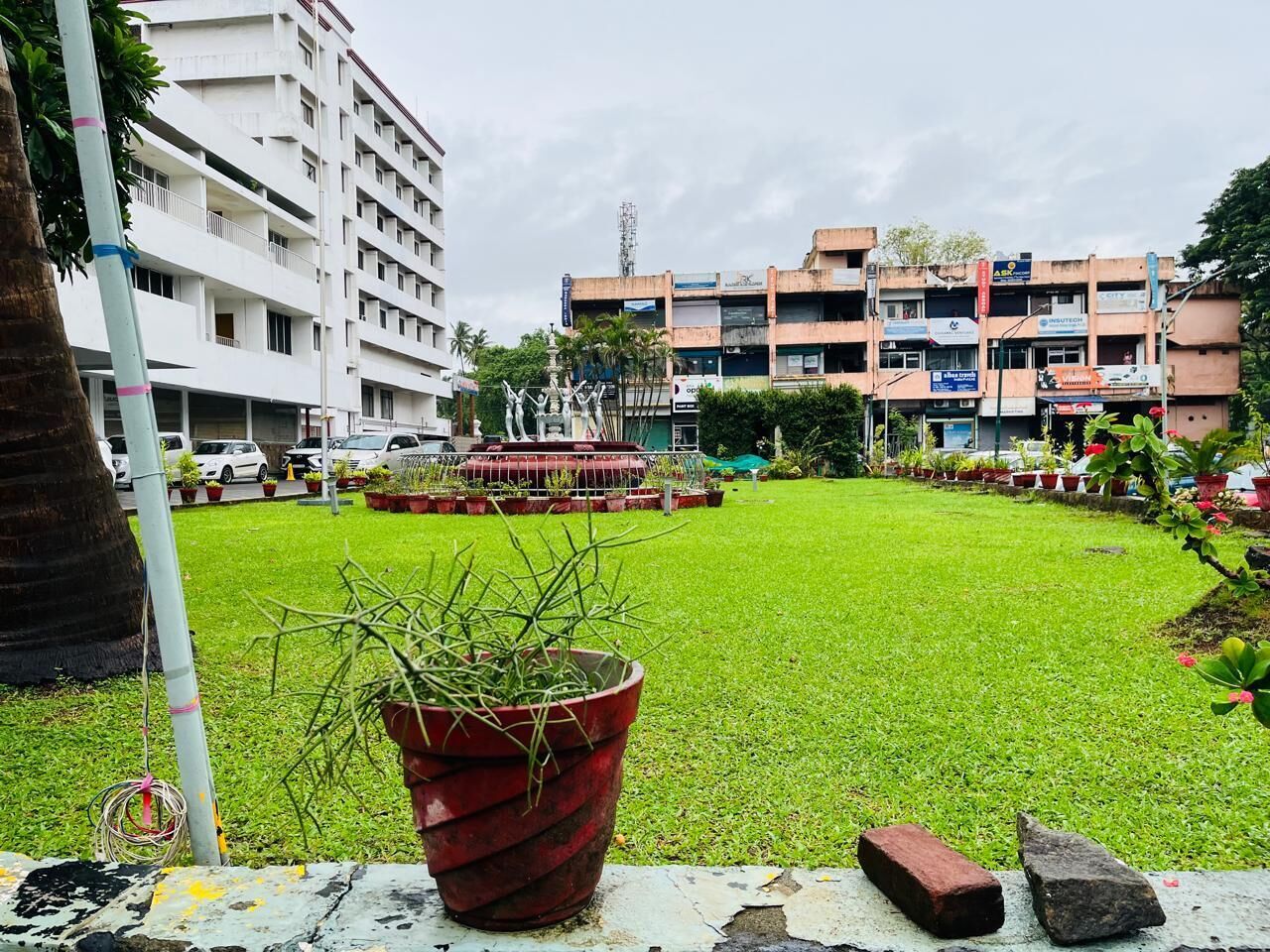 Taman