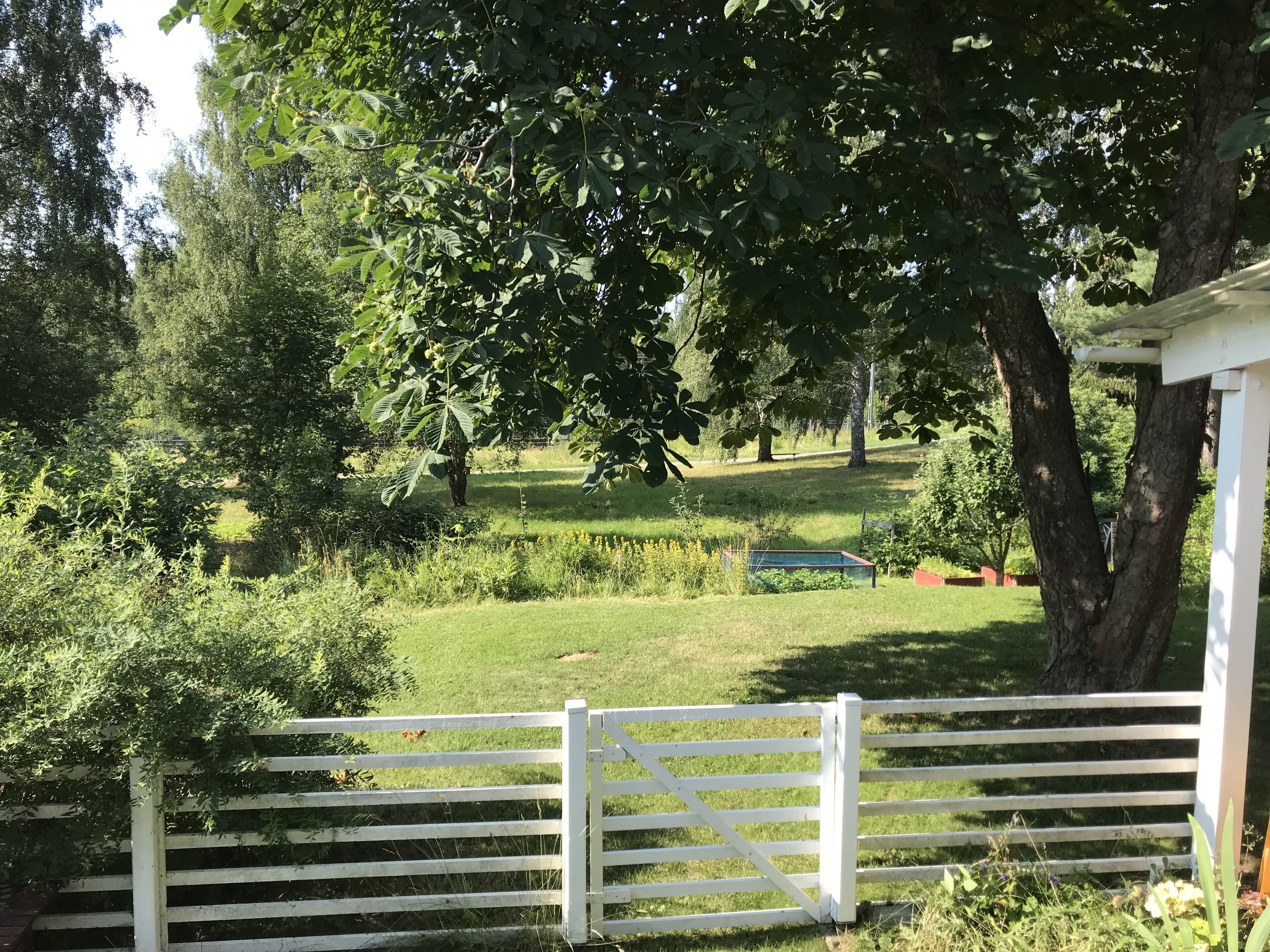 スタンダード シングルルーム シングルベッド 1 台 共用バスルーム ガーデンビュー | ガーデン ビュー