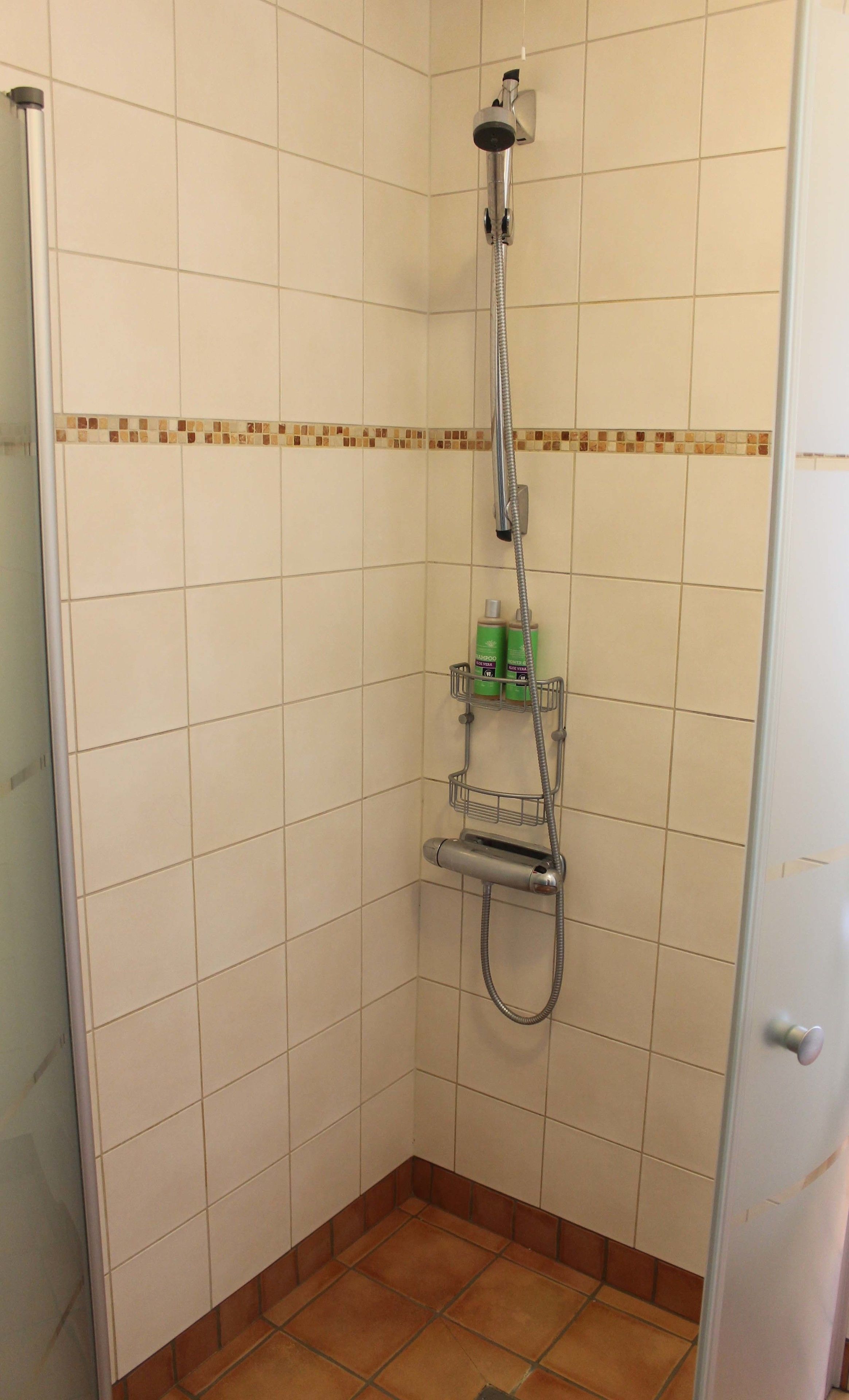 Un área de ducha pequeña con azulejos, un cabezal de ducha manual y un grifo instalado en la pared. Hay dos botellas de champú en un soporte metálico en la pared.