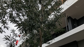 未分類圖片，第 5 張 (共 56 張)，按鈕