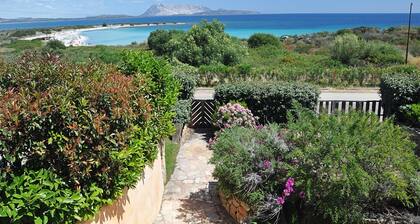 Villa Isuledda Beach 3