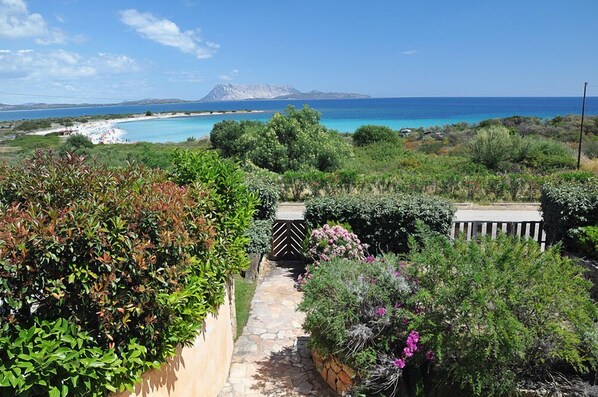 View from property - Villa Isuledda Beach 6 (San Teodoro)