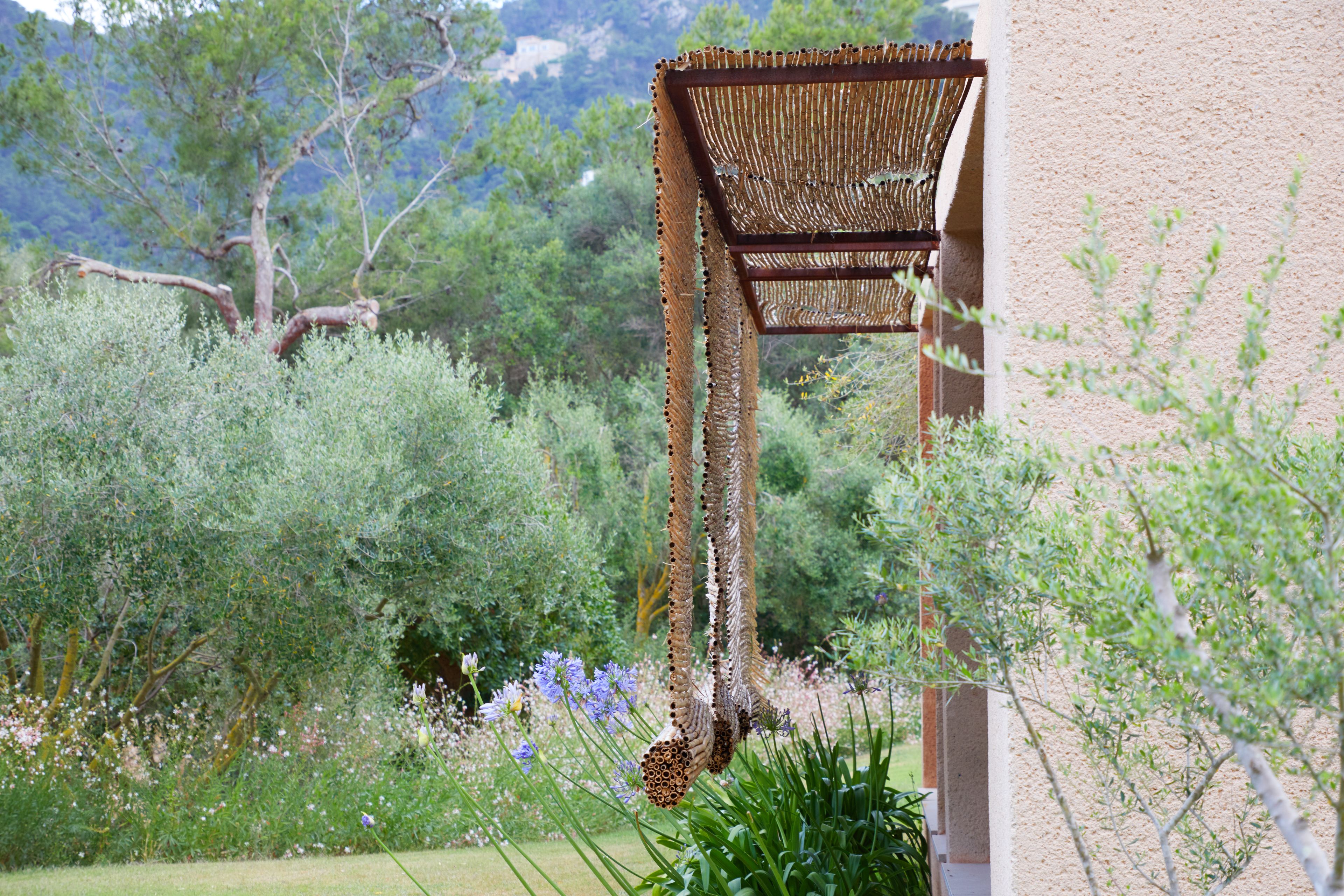 Un jardín con una estructura de pérgola, abundante follaje y plantas en flor.