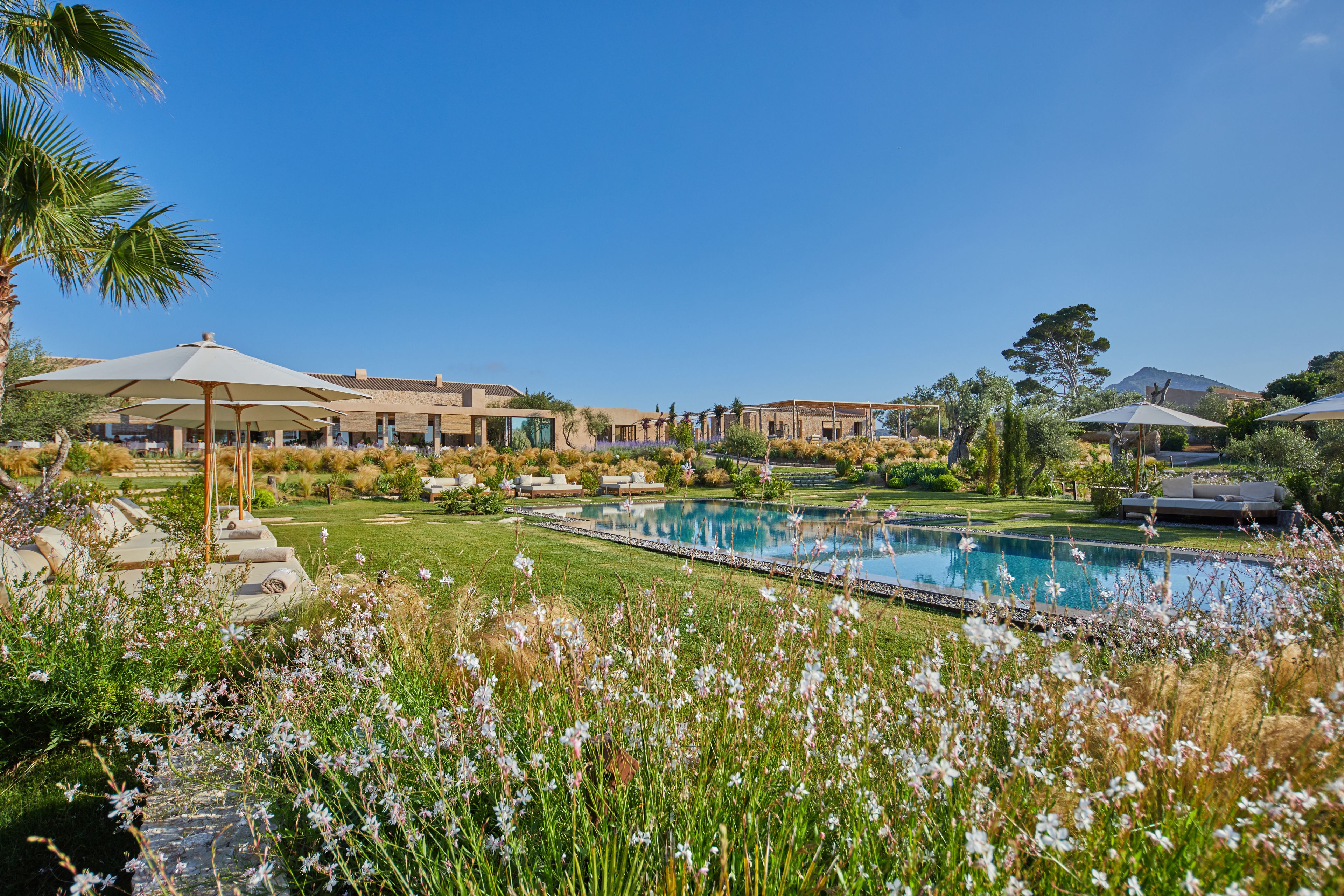 A pool area with lounge chairs and umbrellas, surrounded by well-maintained lawns and flowering plants.