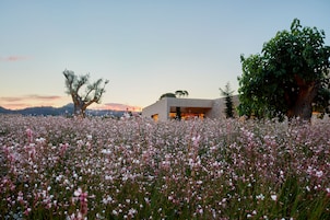 Jardín