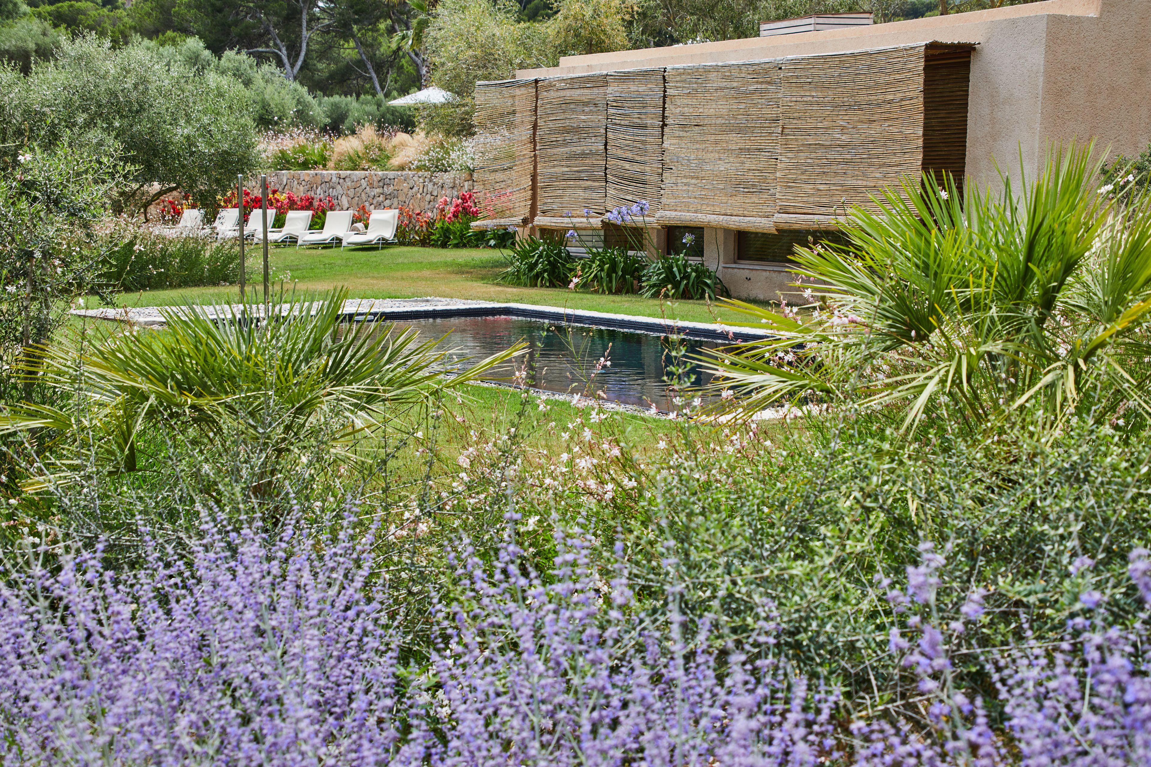 Una piscina rodeada de exuberante vegetación y flores de lavanda, con un edificio moderno al fondo.