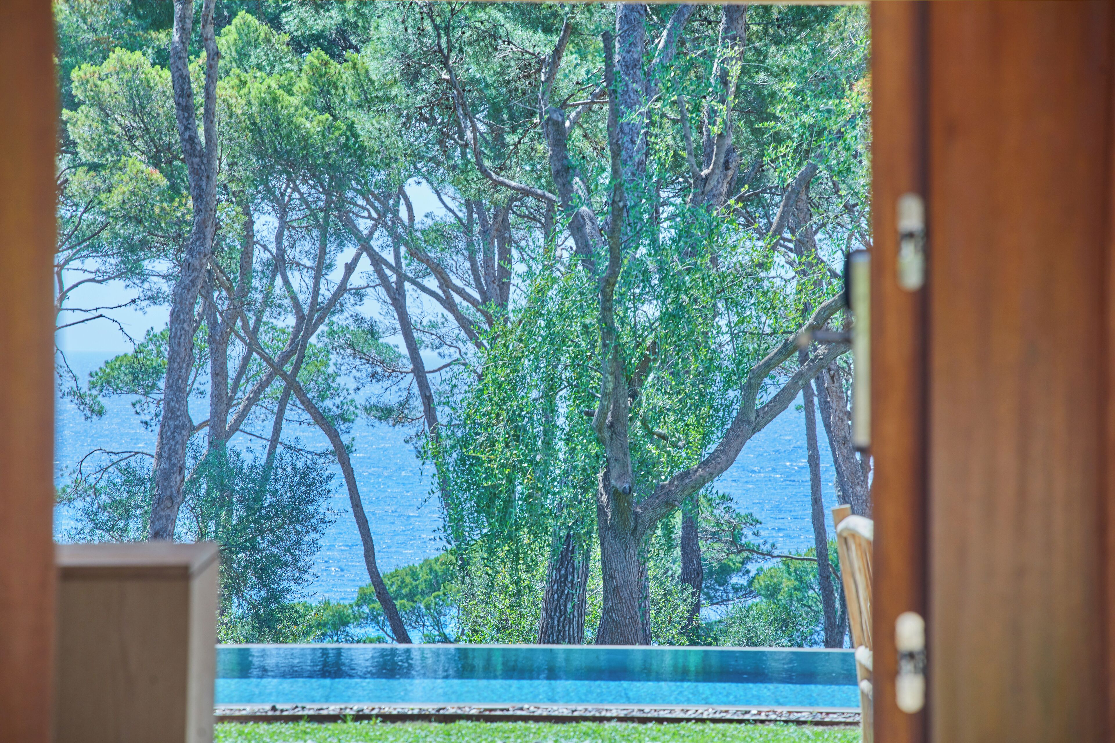 A view through a wooden door of a poolside area with trees and a body of water.