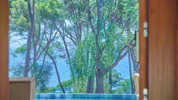A view through a wooden door of a poolside area with trees and a body of water.