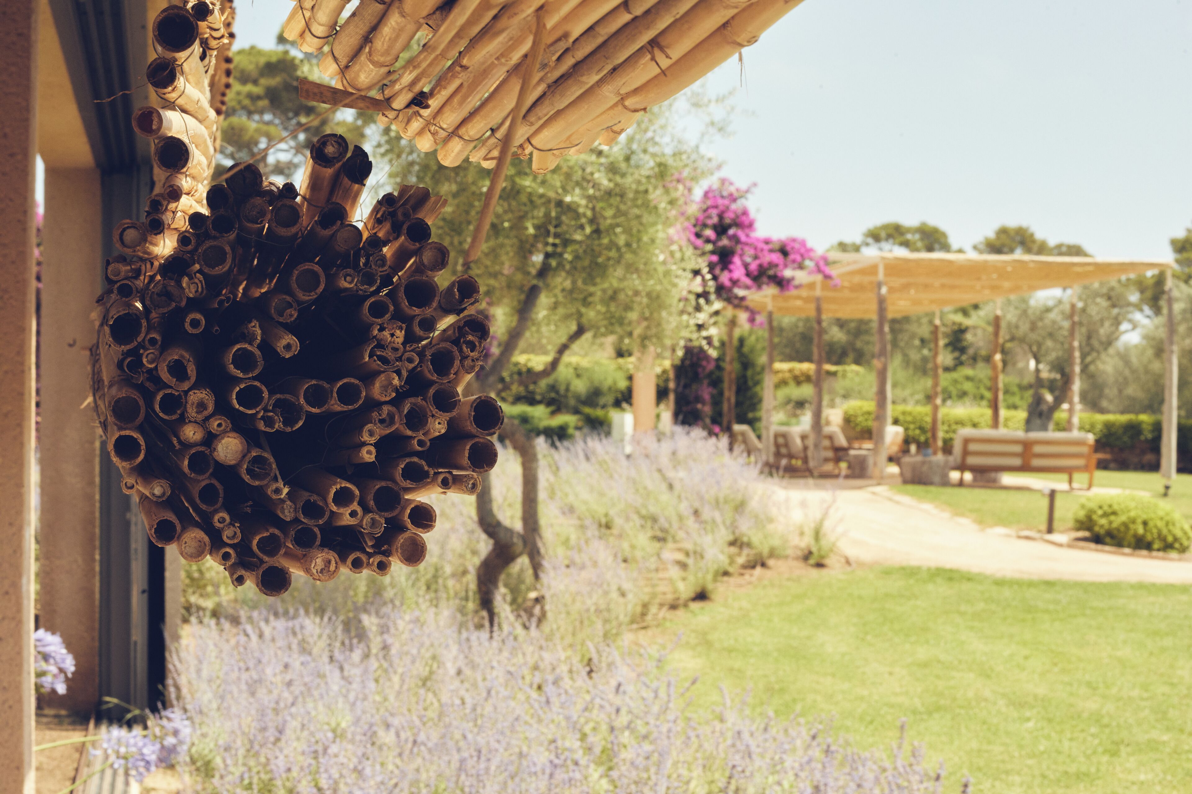 Una estructura colgante de bambú, un jardín con lavanda y un banco bajo una pérgola.