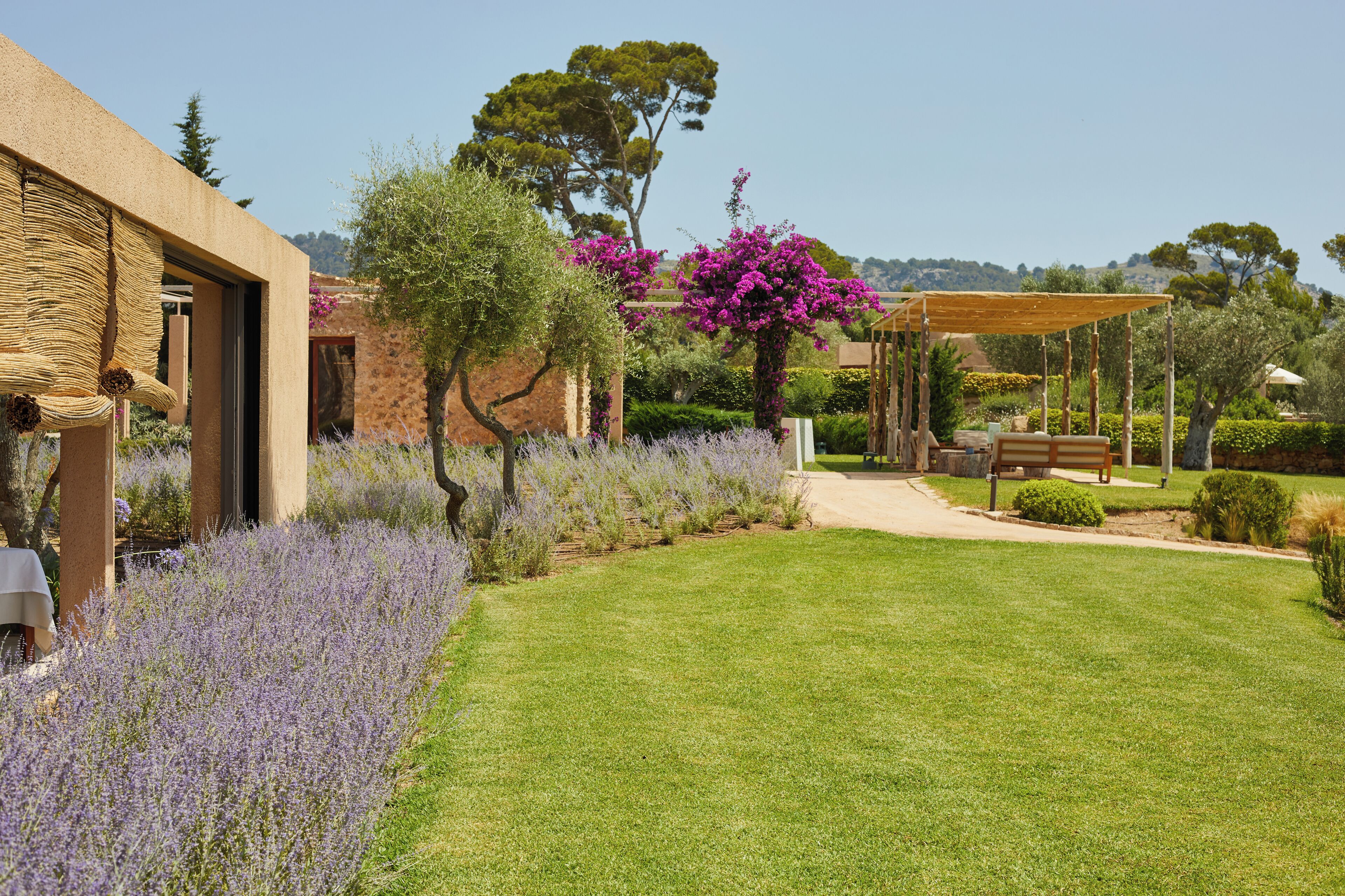 A well-maintained garden with a pergola, a seating area, and a variety of plants including lavender and bougainvillea.