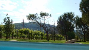 Une piscine à l’eau d’un bleu cristallin, entourée d’arbres et avec un paysage vallonné en arrière-plan.