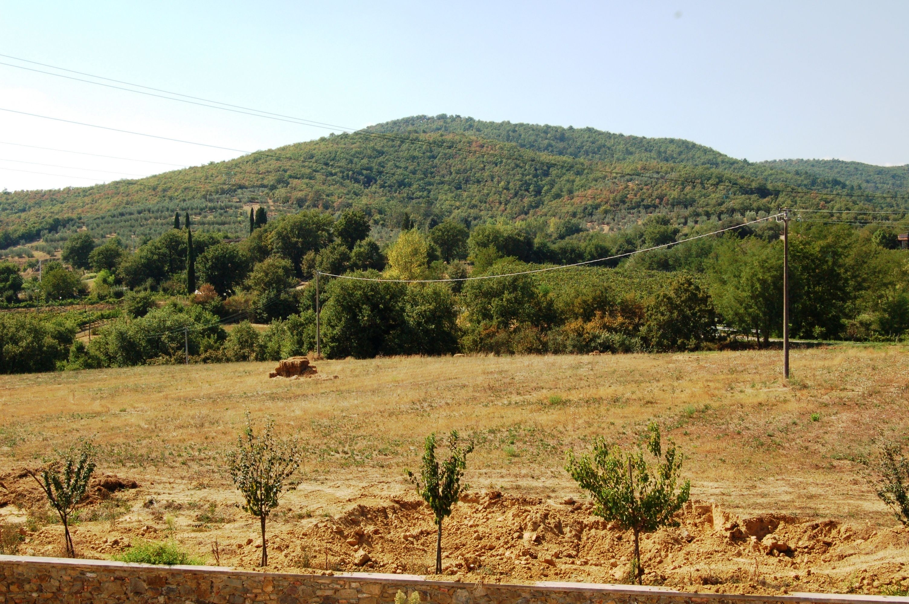 A rural landscape with a hill in the background, a dirt field in the foreground, and a stone wall at the bottom.