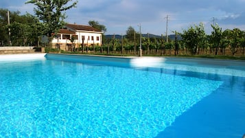 Piscina externa, funciona das 8h às 19h30, espreguiçadeiras