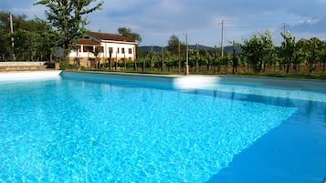 Piscine extérieure, chaises longues