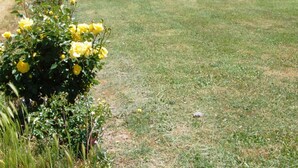 Un bâtiment en pierre avec un toit de tuiles, une pelouse verdoyante et des fleurs jaunes au premier plan.