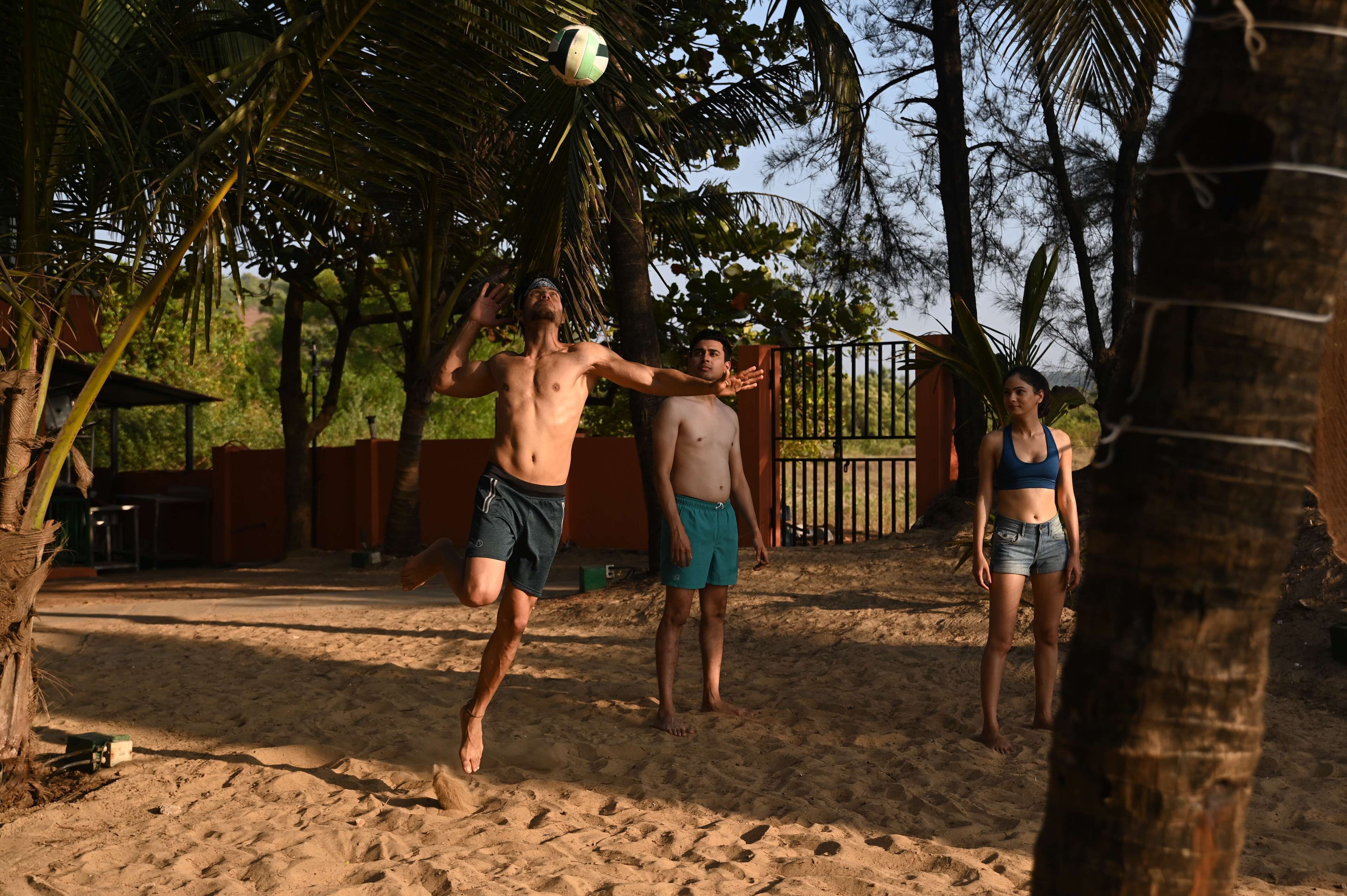 A sandy beach with palm trees and a fence in the background.