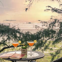 Premium-Zimmer | Terrasse/Patio