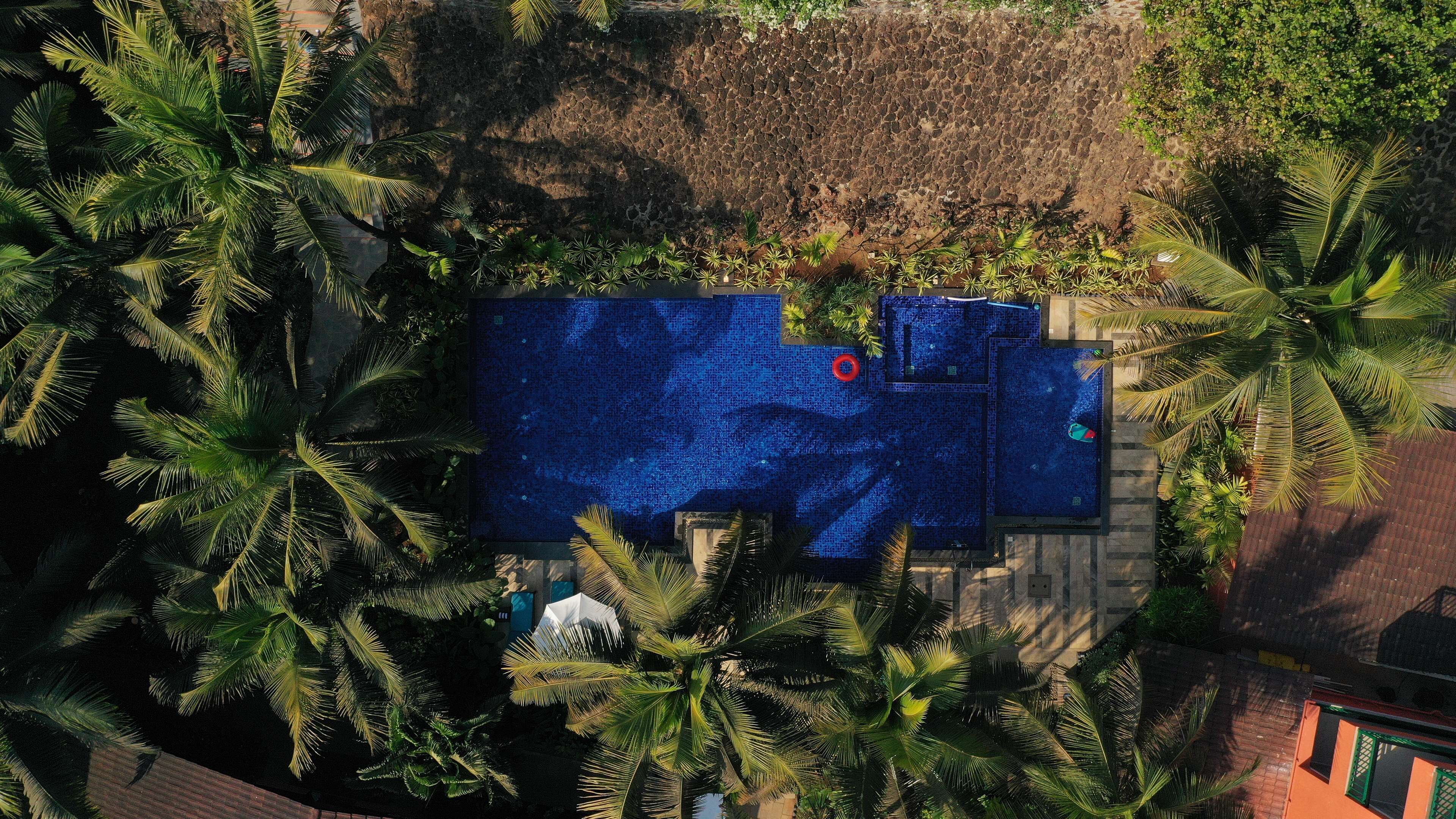 An aerial view of a rooftop pool surrounded by palm trees, with a stone wall and a small garden area.